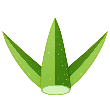Aloe-Vera-Vegetable-Cali-Count-472x47x-PNG