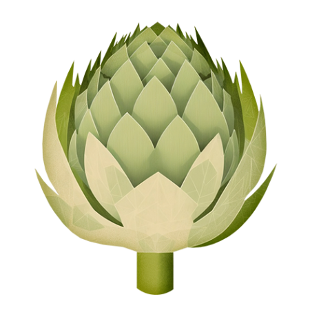 Artichoke-Vegetable-Cali-Count-472x47x-PNG