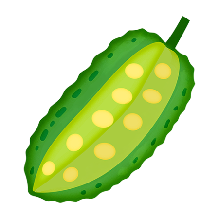Bitter-Melon-Fruit-Cali-Count-472x47x-PNG