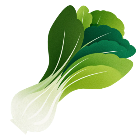 Bok-Choy-Vegetable-Cali-Count-472x47x-PNG