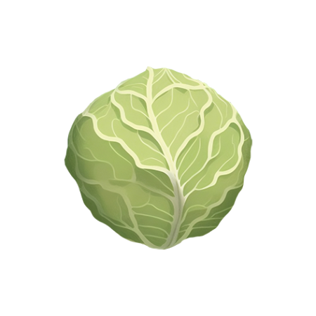 Brussel-Sprout-Vegetable-Cali-Count-472x47x-PNG