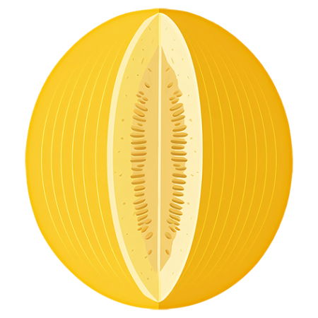 Canary-Melon-Fruit-Cali-Count-472x47x-PNG
