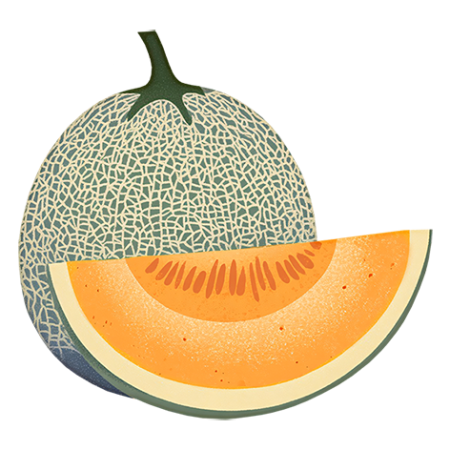 Cantaloupe-Melon-Fruit-Cali-Count-472x47x-PNG