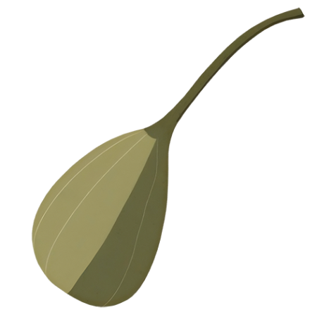 Caper-Vegetable-Cali-Count-472x47x-PNG
