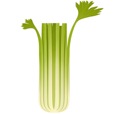 Celery-Vegetable-Cali-Count-472x47x-PNG
