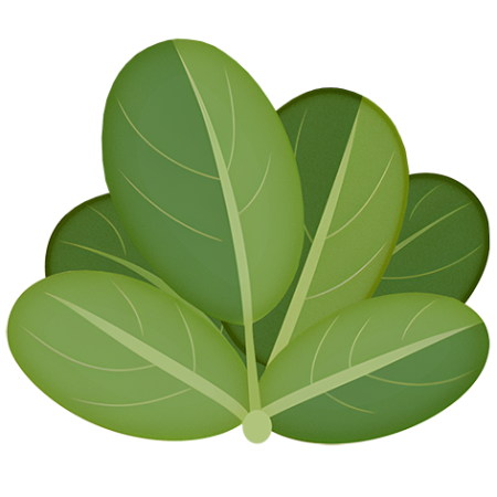 Corn-Salade-Vegetable-Cali-Count-472x47x-PNG