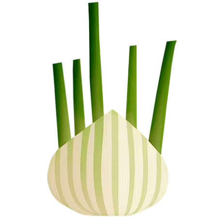 Fennel-Vegetable-Cali-Count-472x47x-PNG