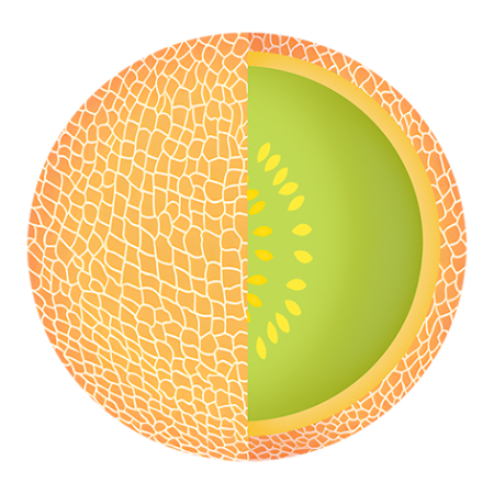 Galia-Melon-Fruit-Cali-Count-472x47x-PNG