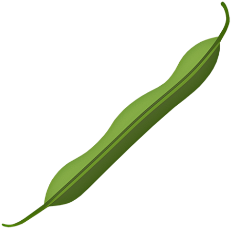 Green-Bean-Vegetable-Cali-Count-472x47x-PNG