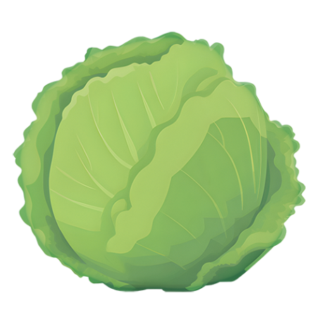 Iceberg-Lettuce-Vegetable-Cali-Count-472x47x-PNG