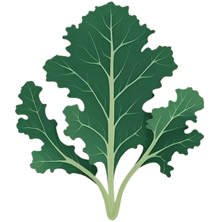 Kale-Vegetable-Cali-Count-472x47x-PNG