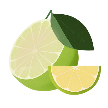 Lime-Fruit-Cali-Count-472x47x-PNG