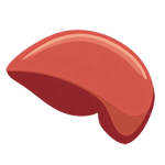 Liver-Calicount