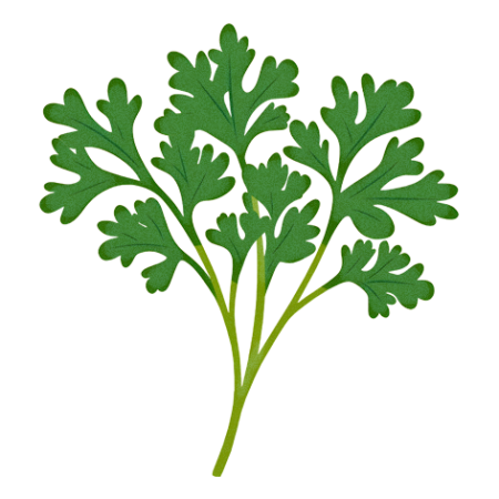 Parsley-Herbs-Cali-Count-472x472x-PNG