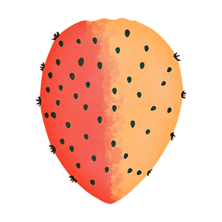 Prickly-Pear-Fruit-Cali-Count-472x47x-PNG