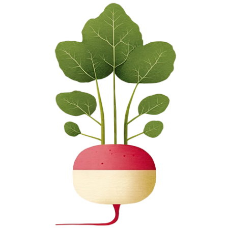 Raddish-Vegetable-Cali-Count-472x47x-PNG
