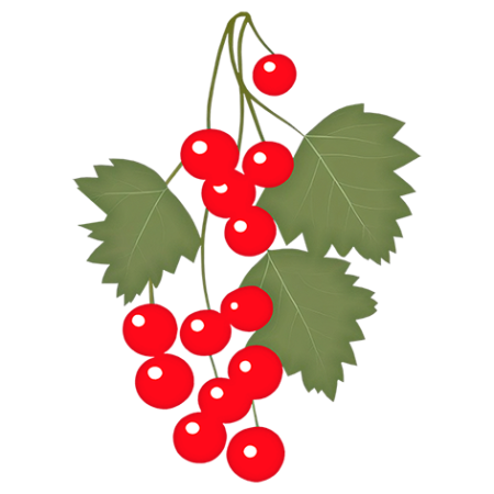 Red-Currant-Fruit-Cali-Count-472x47x-PNG