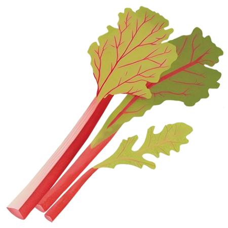 Rhubarb-Vegetable-Cali-Count-472x47x-PNG