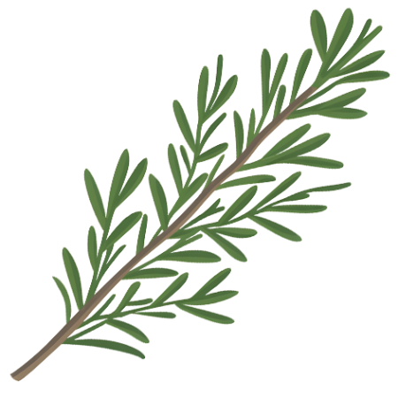 Rosemary-Herbs-Cali-Count-472x472x-PNG