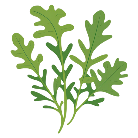 Arugula-Vegetable-Cali-Count-472x47x-PNG