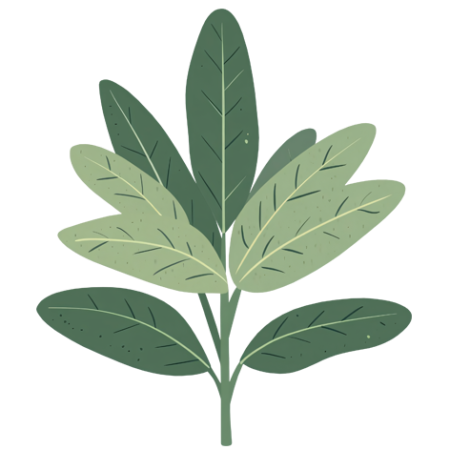 Sage-Herbs-Cali-Count-472x472x-PNG