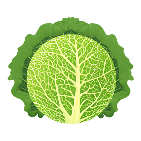 Savoy-Cabbage-Vegetable-Cali-Count-472x47x-PNG