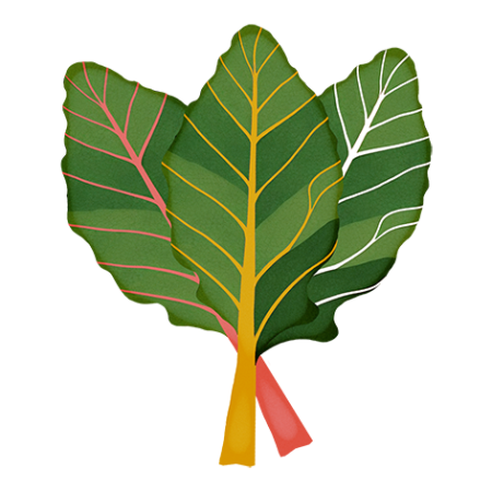 Swiss-Chard-Vegetable-Cali-Count-472x47x-PNG