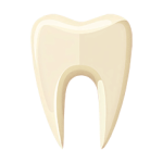 Teeth-Calicount