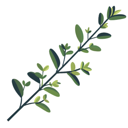 Thyme-Herbs-Cali-Count-472x472x-PNG