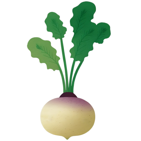 Turnip-Vegetable-Cali-Count-472x47x-PNG